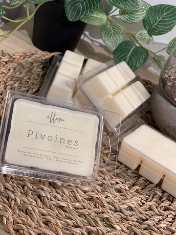 Pivoines - Cubes de cire