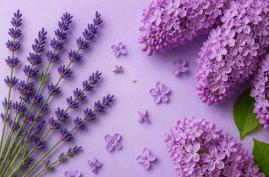 Lavande & Lilas